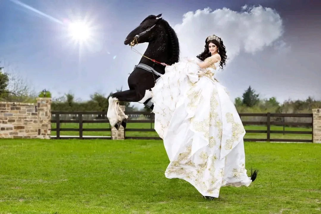 quince atx vestidos quinceanera